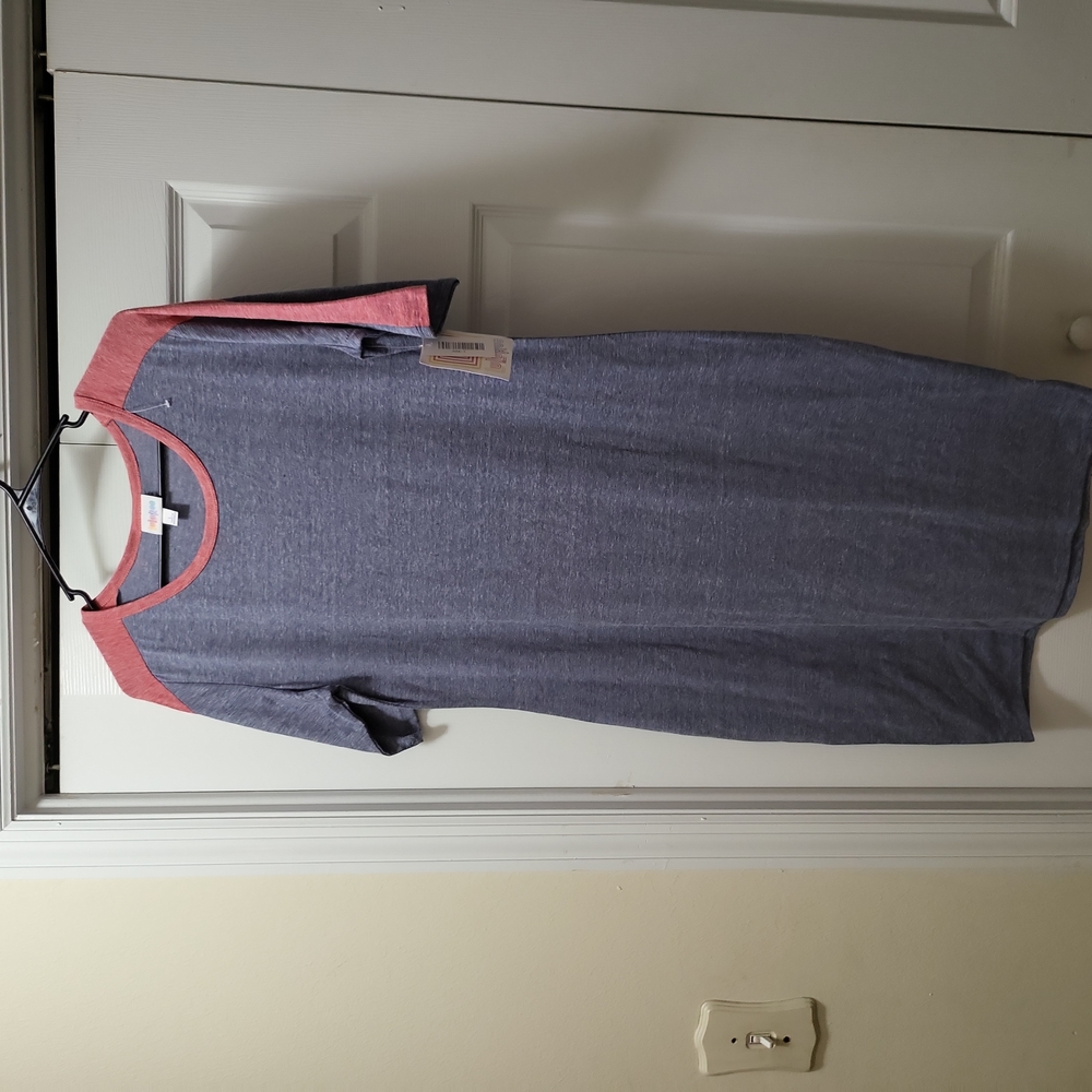 Nwt Julia Raglan dress